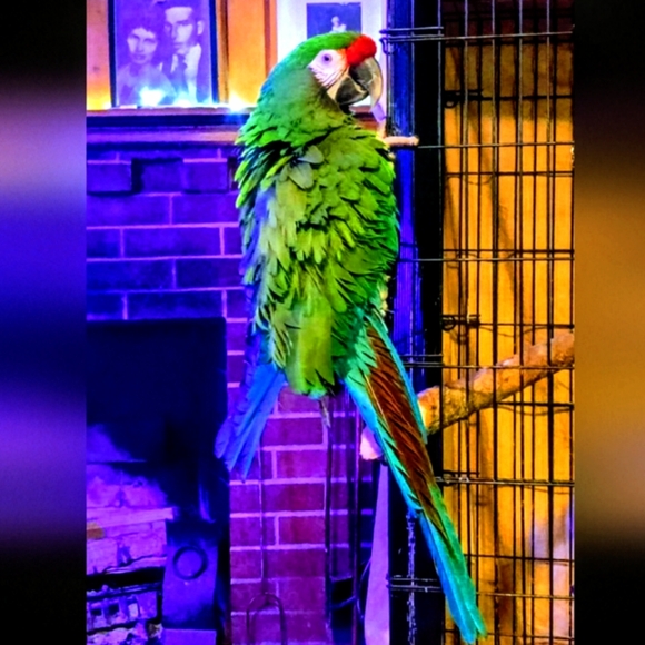 Live Share Show! Show Up & Shine! - Picture 9 of 9